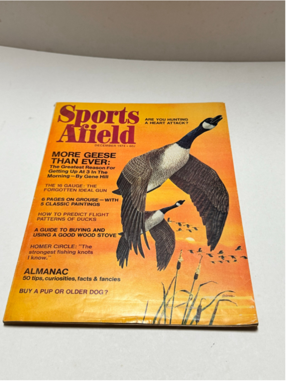 1974 Vintage Sports Afield Magazine December “More Geese Than Ever”